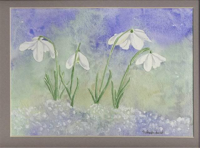 Snowdrops.jpg