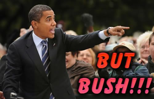 But-Bush.jpg