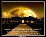 ForgivenPath.jpg Forgiven Path image by CFAngels