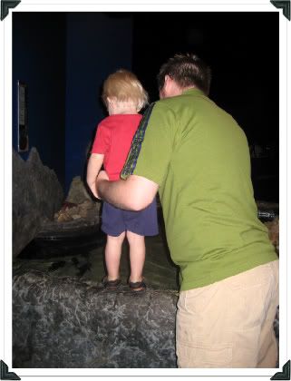 Dad Helping Beckham see the Sting Ray