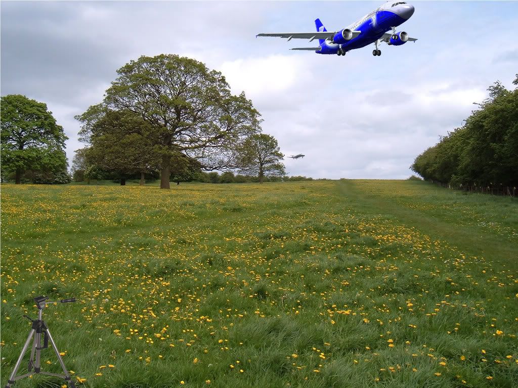 English-Countryside-field.jpg