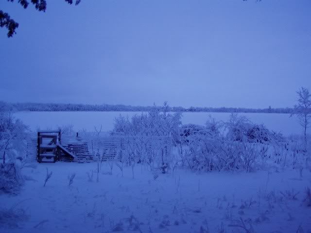 I'm sick of it already! - Homesteading Questions