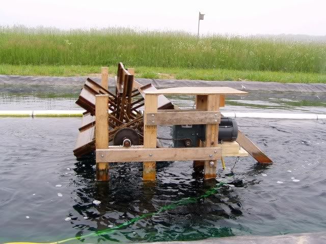 Backyard Aquaculture/Fish Farming - Homesteading Questions