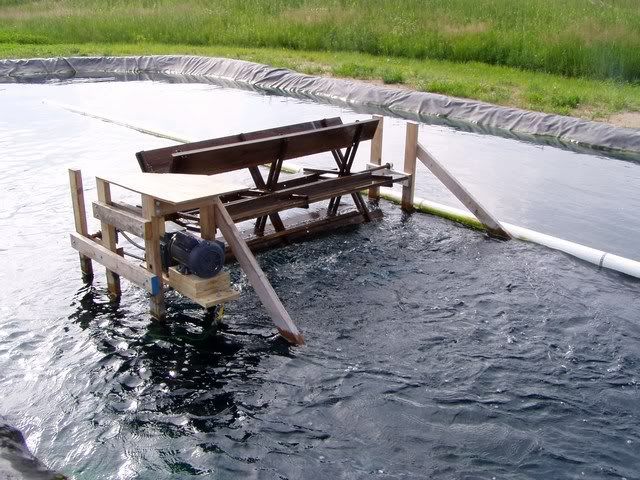 Backyard Aquaculture/Fish Farming - Homesteading Questions