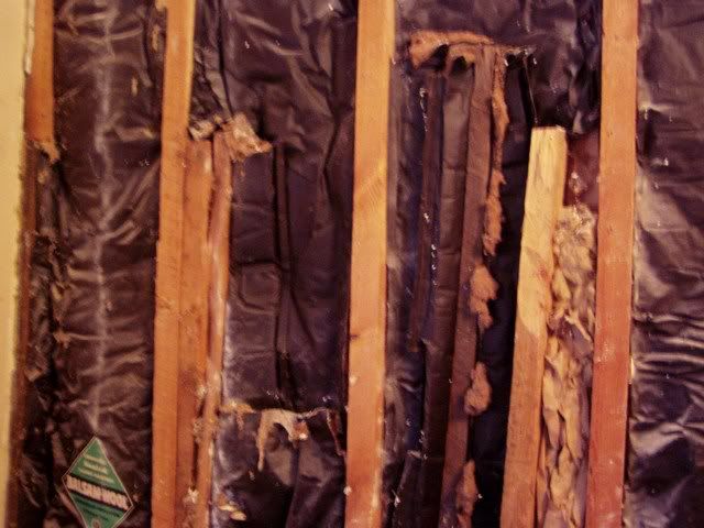 Matching plywood to sheetrock - Homesteading Questions