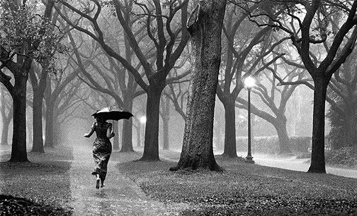 GIRL IN RAIN  72dpi - Baarishon Ka Mausam ( My Fav )