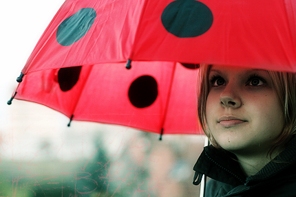 lady bug umbrella! Pictures, Images and Photos