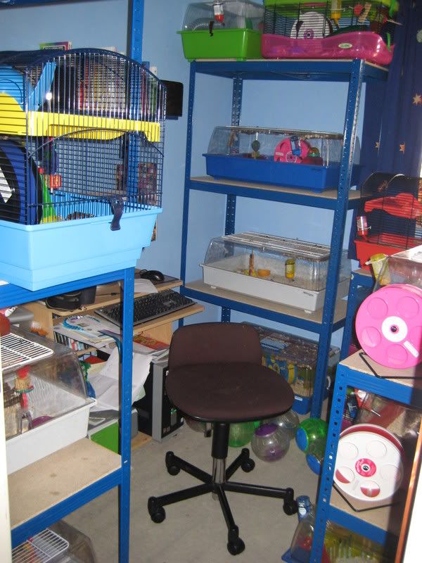 Shelving for storing cages Hamster Central