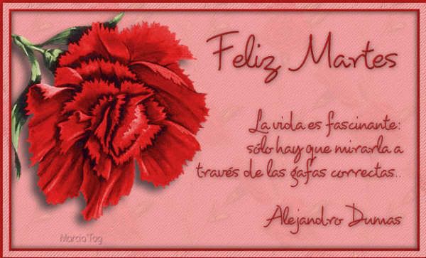 MARTES FELIZ