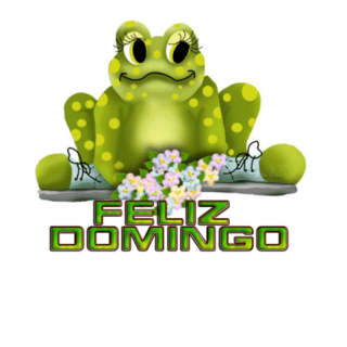 felizdomingolz7FIRMAFELIZDOMINGO.png FELIZ DOMINGO image by caly49