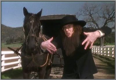 Amish_Paradise.jpg