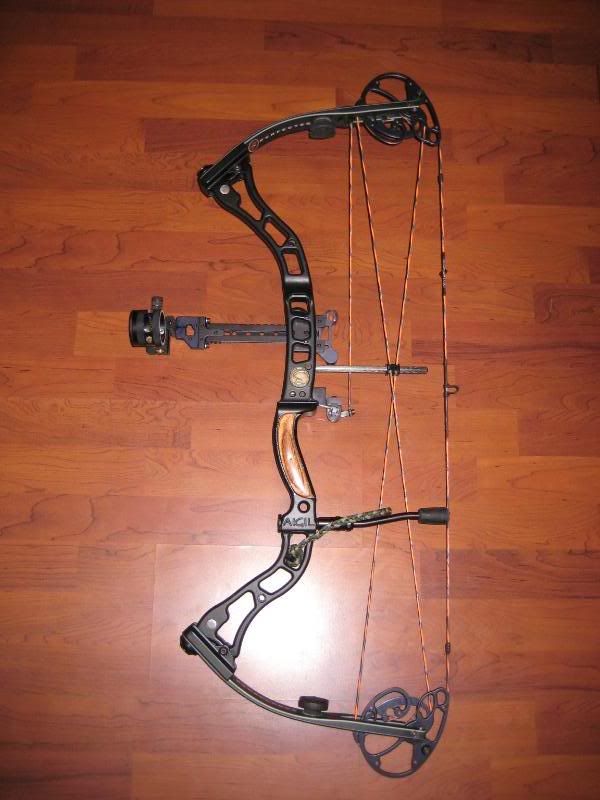 Elite Archery Bows Community Discussion Forums