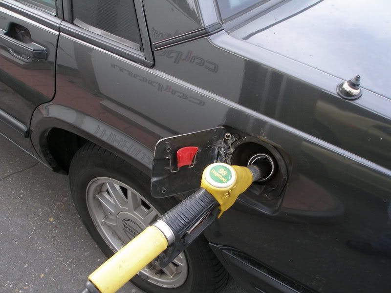 [Afbeelding: P1010012.jpg]