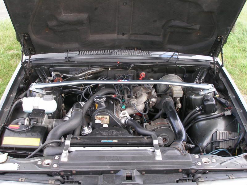 [Afbeelding: P1010237.jpg]