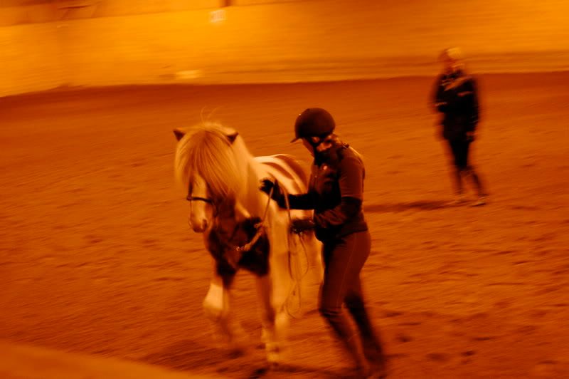 DSC_0216.jpg