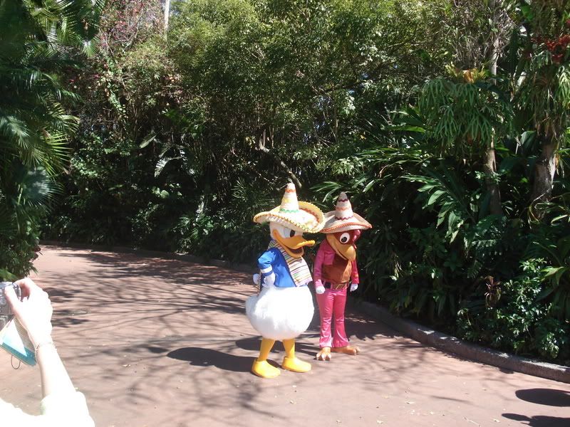 duck.jpg