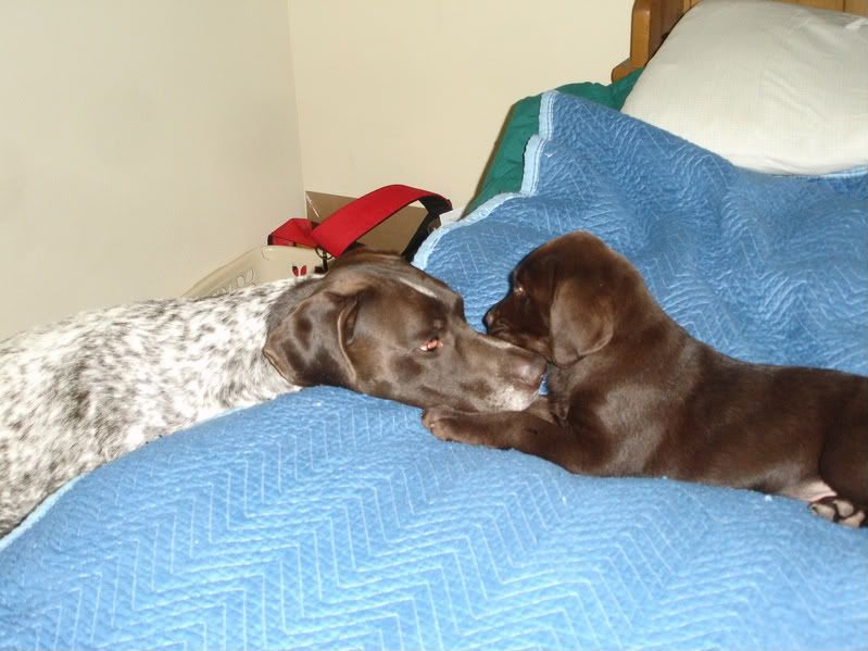 DSC00351-1.jpg