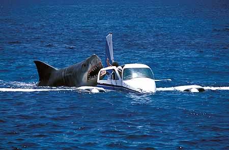 Shark Attacks Plane