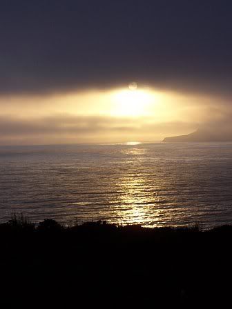 520798213505_0_ALB.jpg