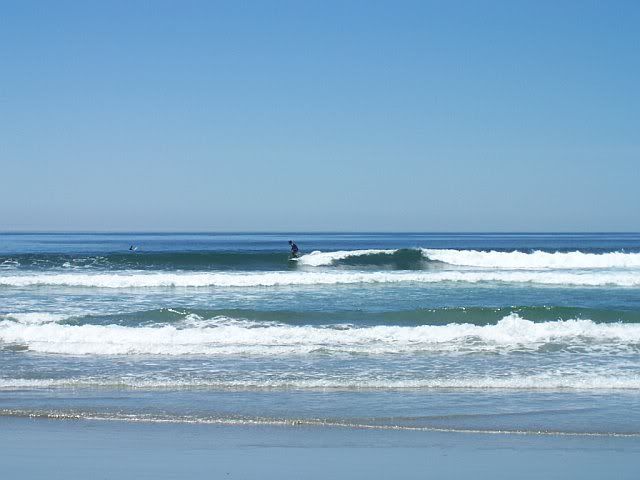 773648213505_0_BG.jpg