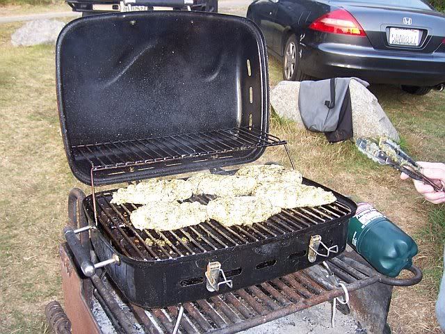 901888213505_0_BG.jpg