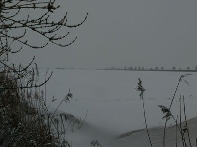 another view at the snowy fields behind our house