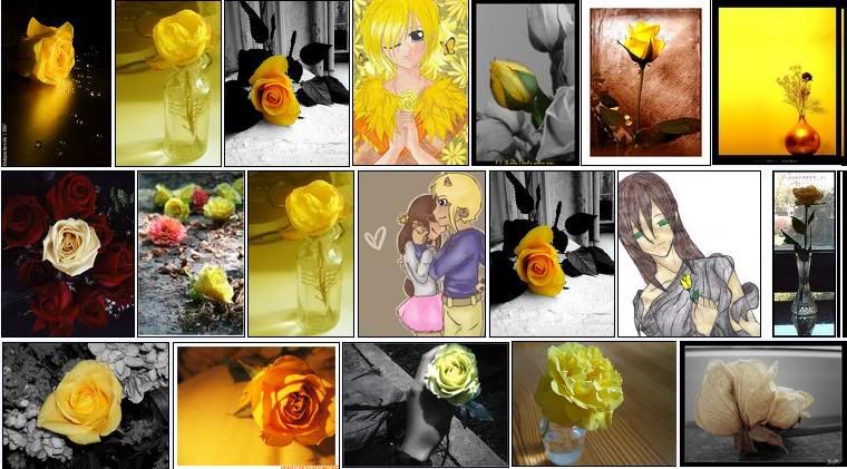 Photo Sharing and Video Hosting at Photobucket