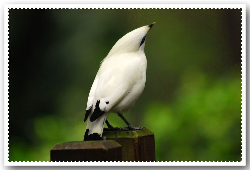 Photo Sharing and Video Hosting at Photobucket