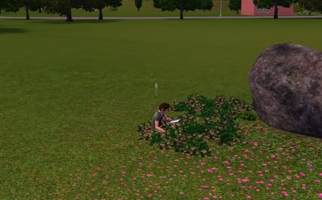 Screenshot-769.jpg
