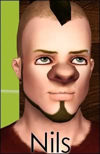 nils_4.jpg