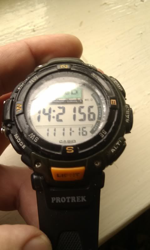 IMAG0462.jpg