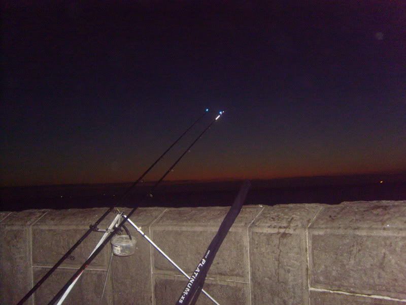 S7004935.jpg