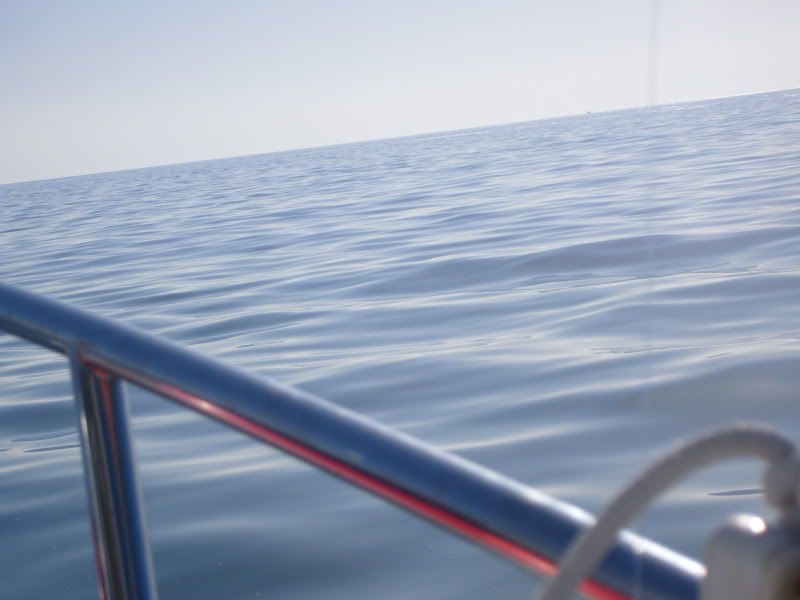 S7004971.jpg