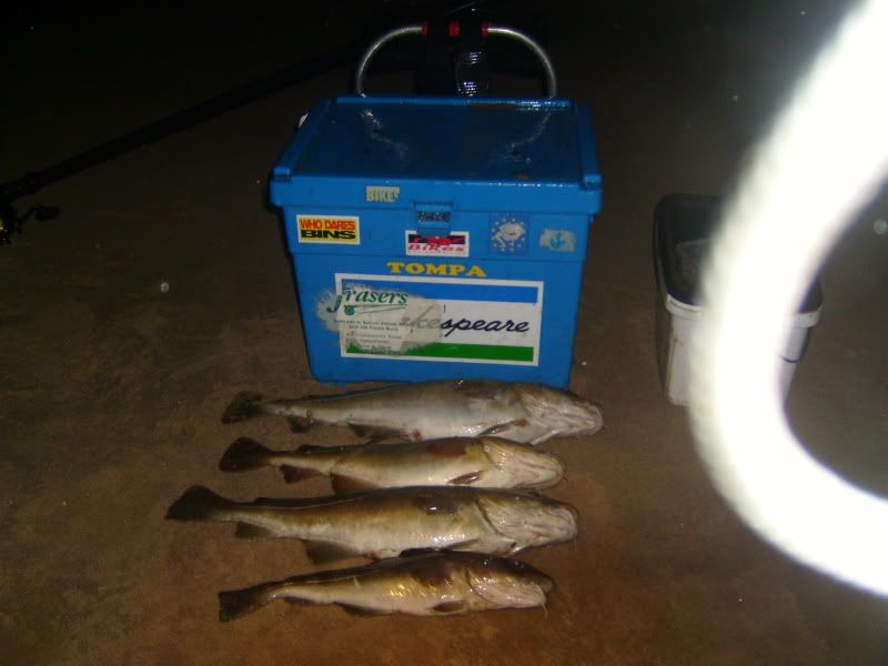 tompasfish24112008002.jpg