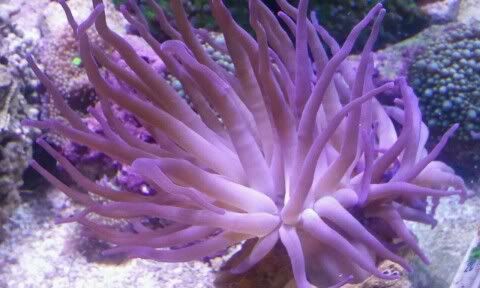 2011-08-23193423.jpg