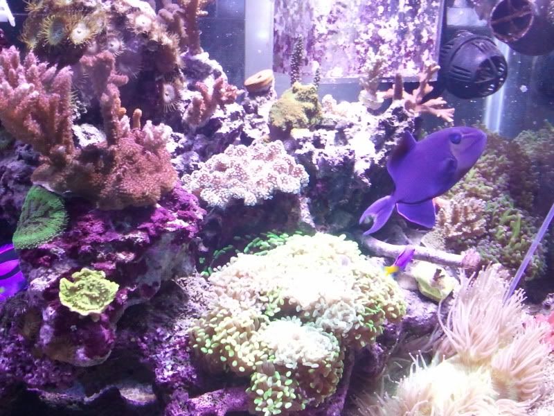 2011-11-29173731.jpg