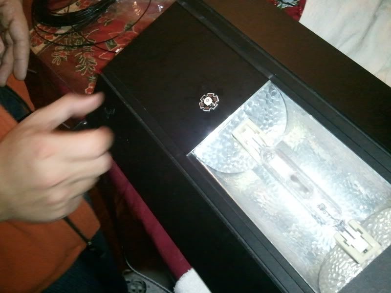 2011-12-09201453.jpg