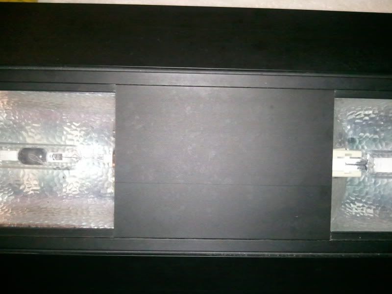 2011-12-09201630.jpg