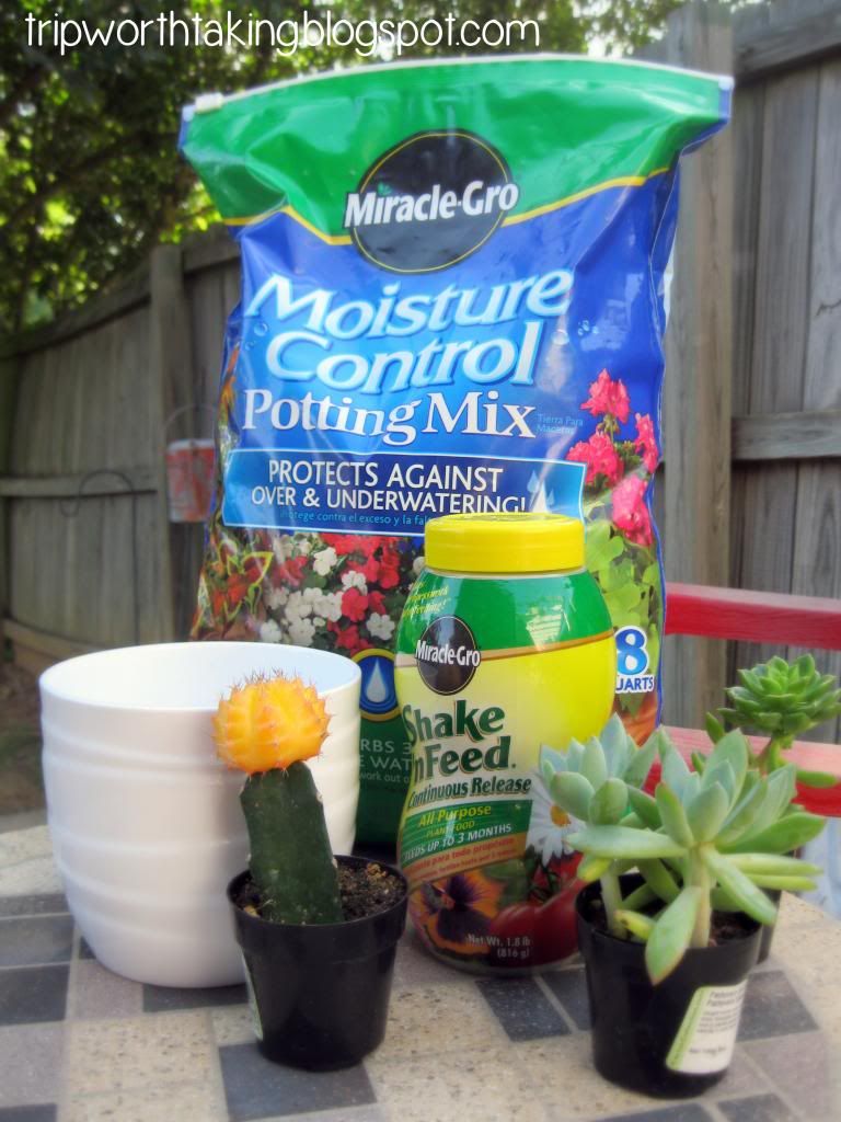 Miracle-Gro Products and plants