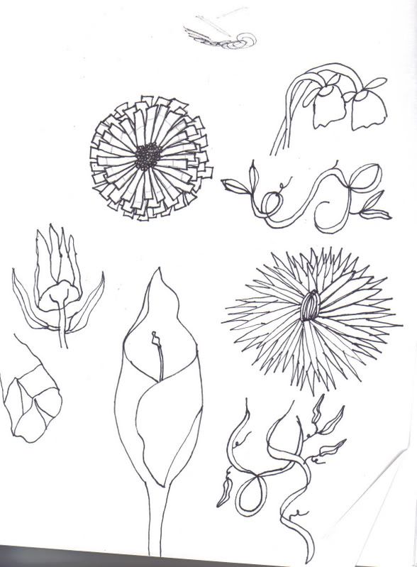 pictures of flowers to draw. How To Draw And Paint Flowers