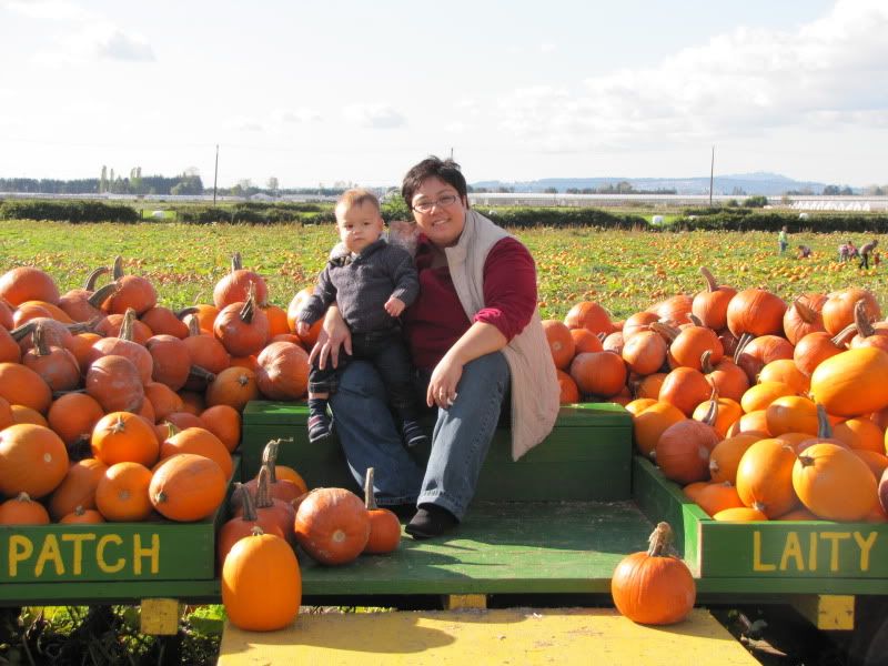 Laity Pumpkin Patch