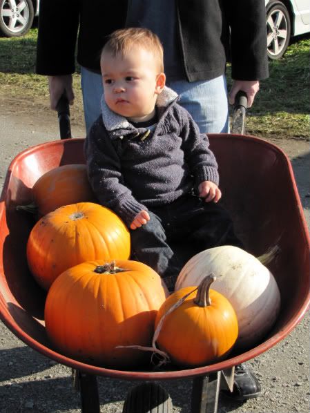 with the final selections