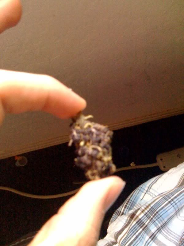 Black Afghan Weed