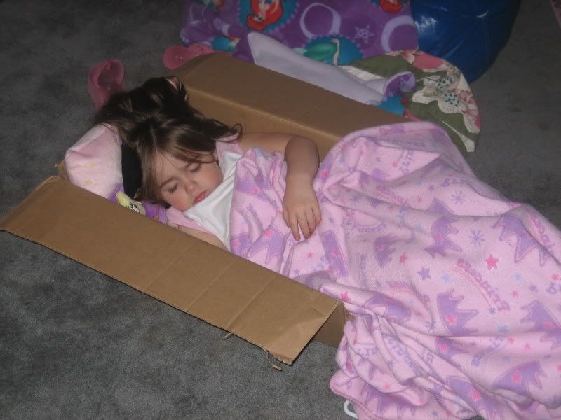 Hayden Sleeping in a cardboard box Pictures, Images and Photos