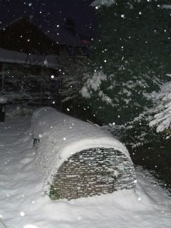 00016-1.jpg?t=1233601712