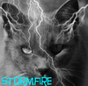 Stormfire Avatar