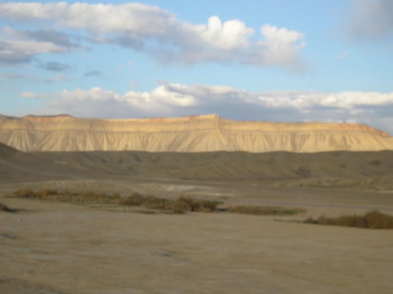 P1010022.jpg