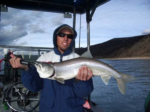 Photo Sharing and Video Hosting at Photobucket