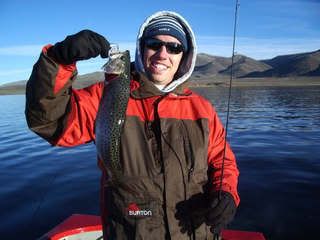 Photo Sharing and Video Hosting at Photobucket