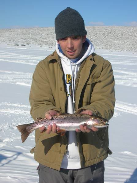 Photo Sharing and Video Hosting at Photobucket